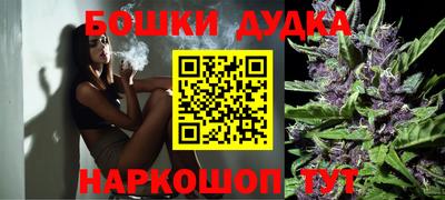 шишки Заволжье