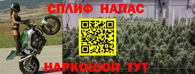 прущие крисы Донской
