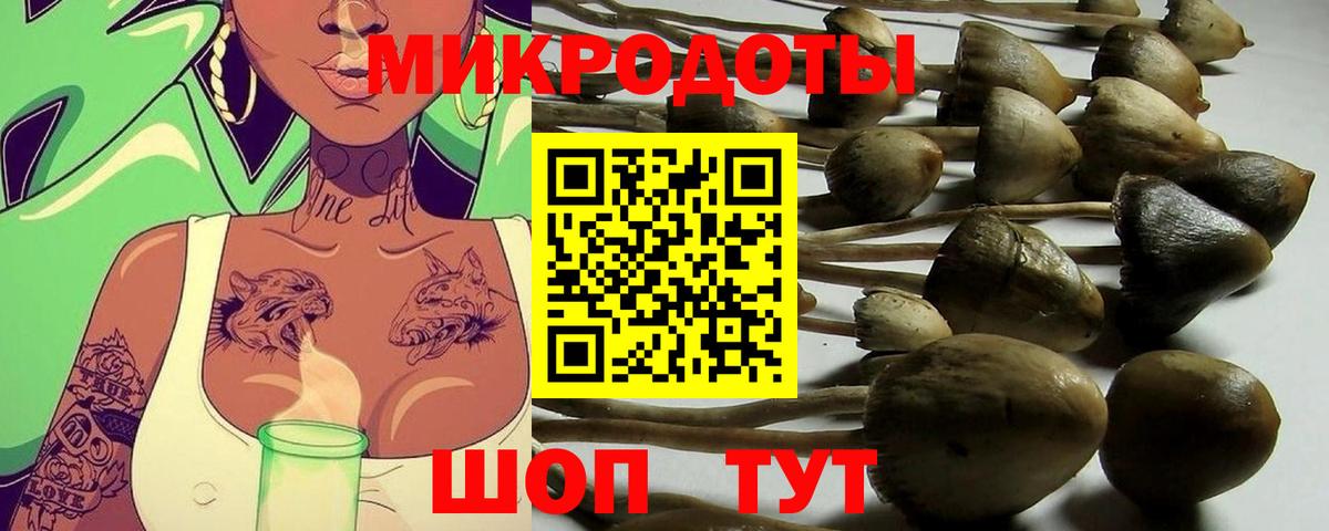 закладки  Вход с VPN  Псилоцибиновые грибы GOLDEN TEACHER  Лабытнанги  Галлюциногенные грибы мухоморы 